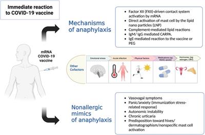 Anaphylaxis induced by mRNA COVID-19 vaccines: follow-up and booster dose after previous desensitization